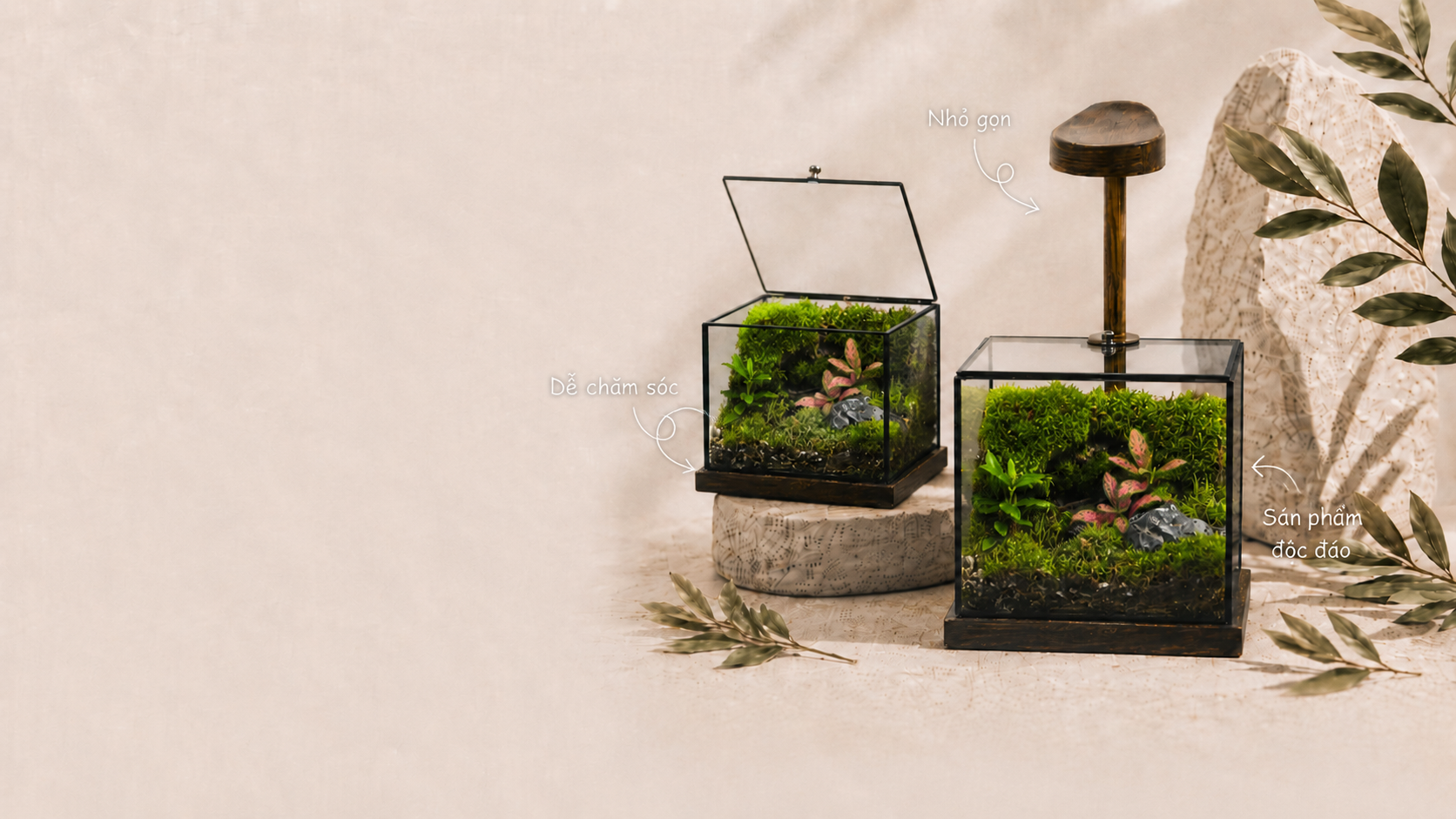 Banner terrarium Tiệm Rêu Décor với sản phẩm rêu decor và lời giới thiệu